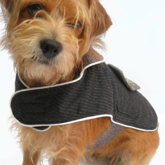 CEO reversible dog jacket